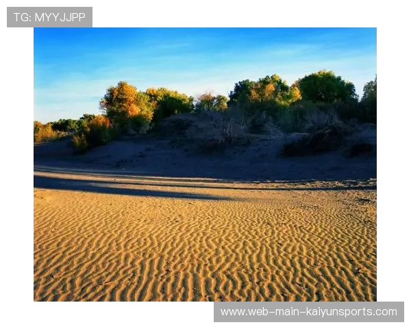 逆境中奋战，赢得尊重！，逆境中奋起作文